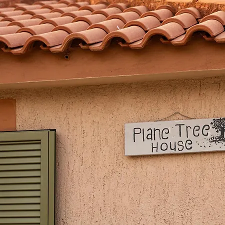 Tatil Evi Plane Tree House Kefalonia