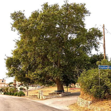 Tatil Evi Plane Tree House Kefalonia Kardhakáta