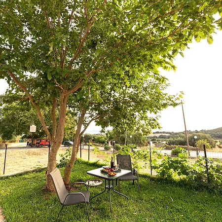 Plane Tree House Kefalonia Tatil Evi
